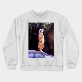 What's Up Meerkat? Crewneck Sweatshirt